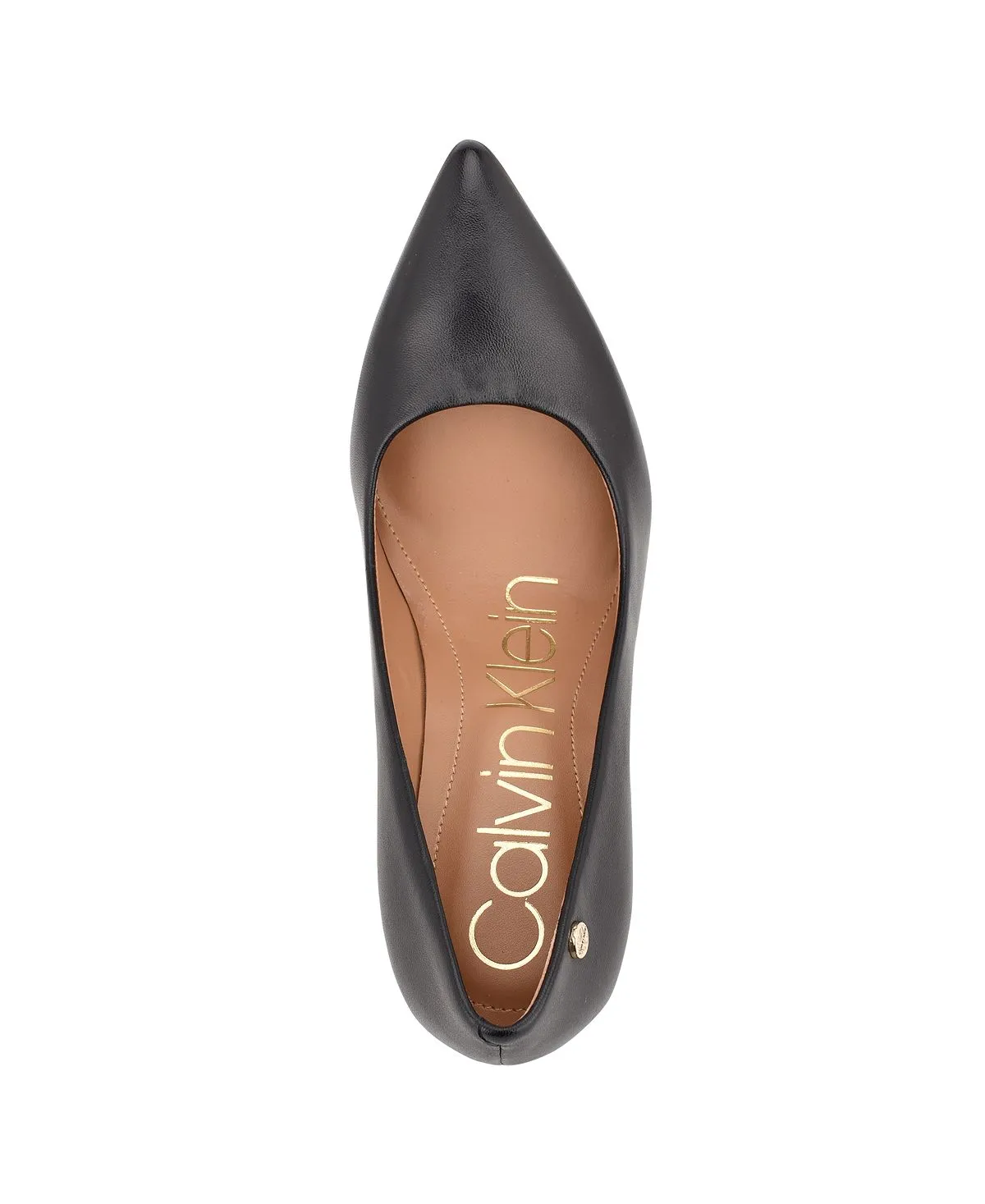 Calvin Klein Women's Brady Pointed Toe Pumps, Black