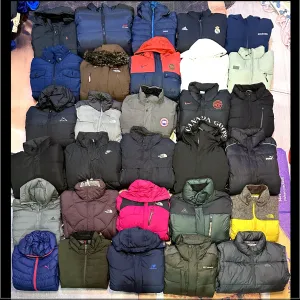 Mix branded Canada Goose/TNF jackets