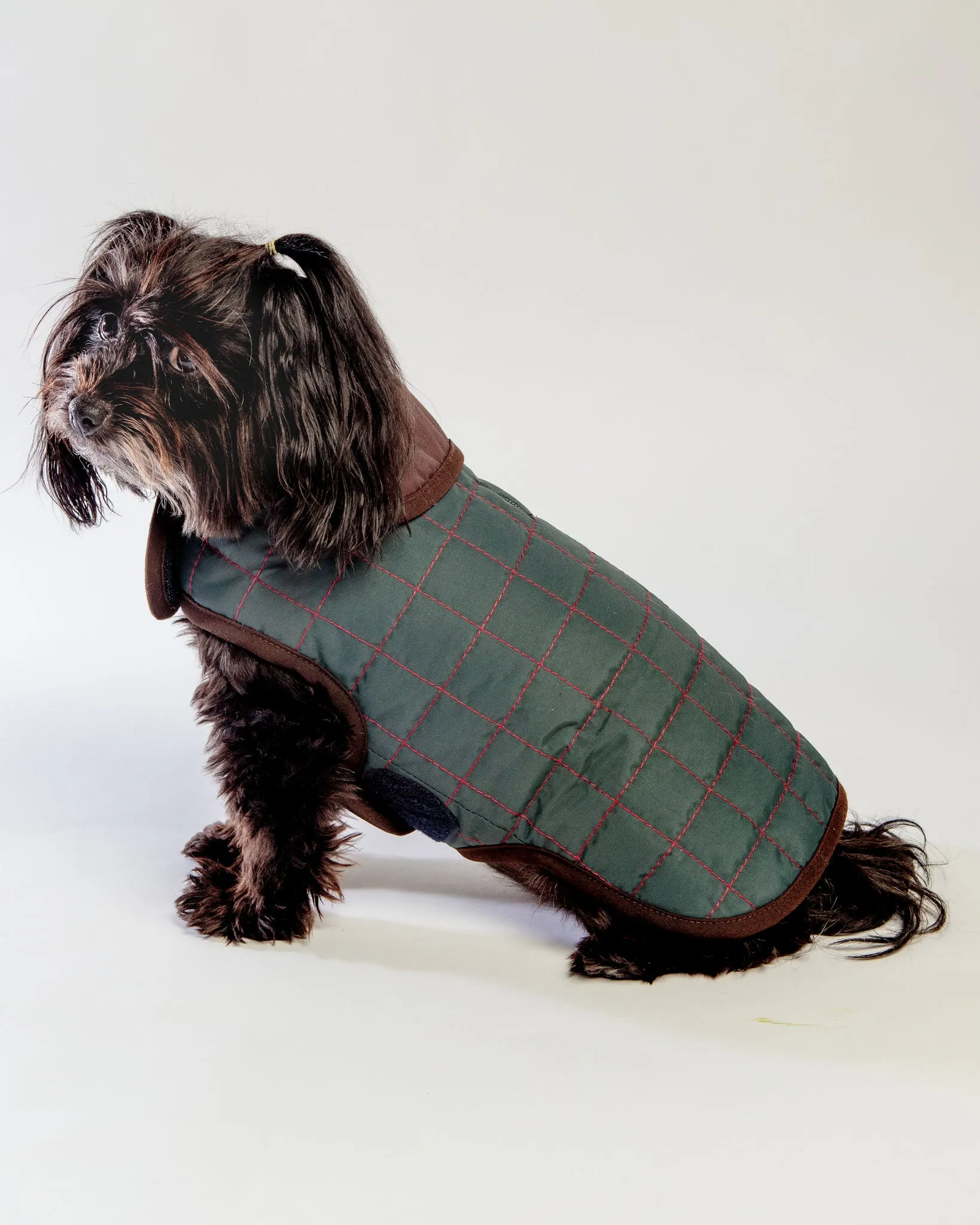 The Traveler Fleece-Lined Waterproof Dog Coat << FINAL SALE >>