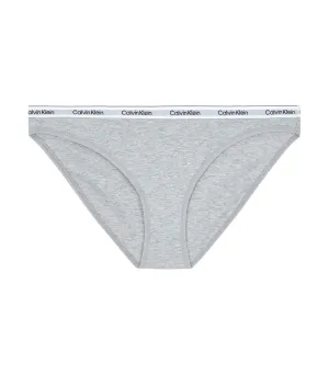 Underwear Bikini Grey