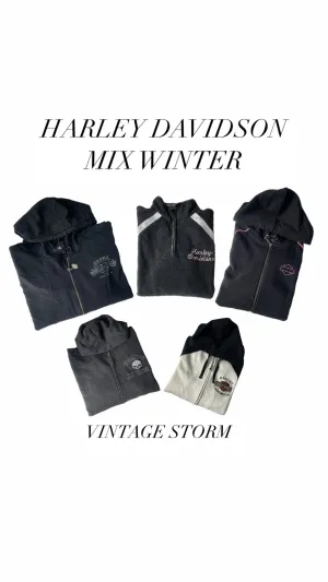 Vintage Harley Davidson Mix Winter